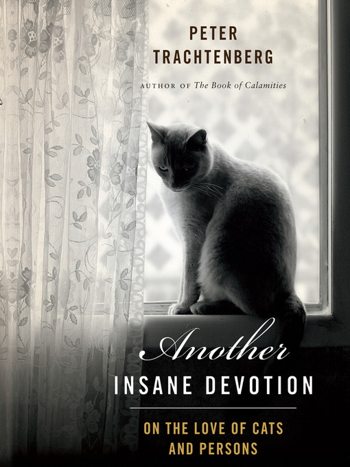 Title details for Another Insane Devotion by Peter Trachtenberg - Available